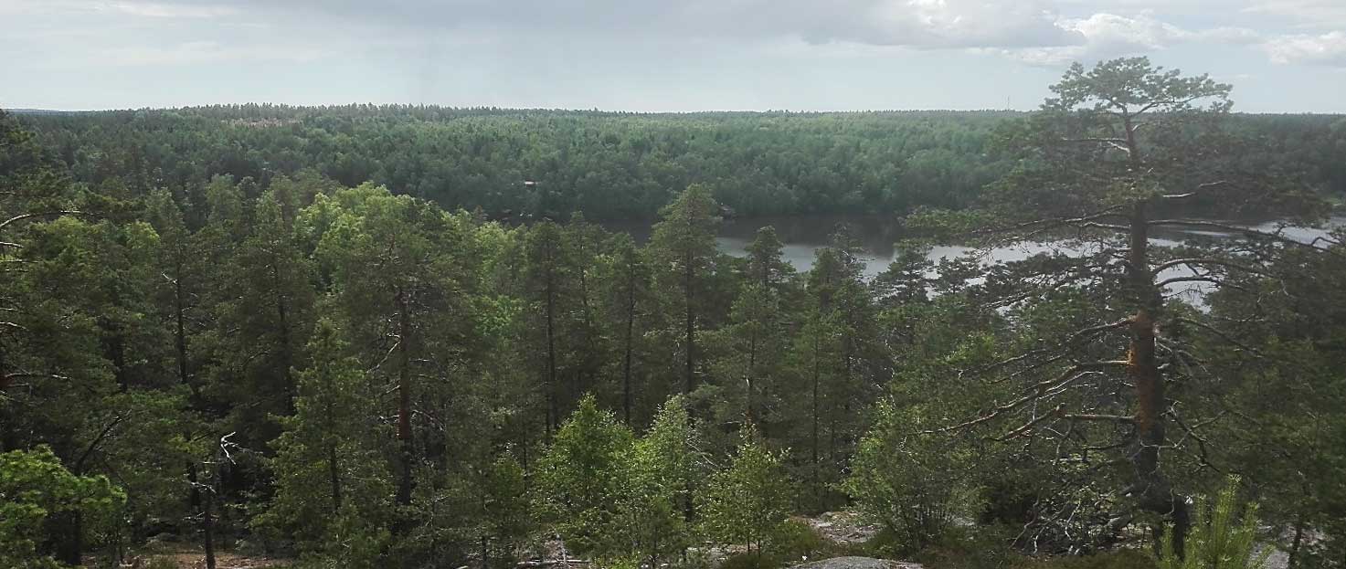 Metsään Uppoutuminen - Juha Koskinen